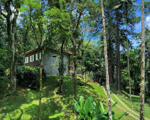 Modernist Chalet in the middle of the Forest