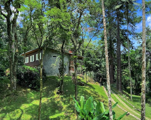 Modernist Chalet in the middle of the Forest