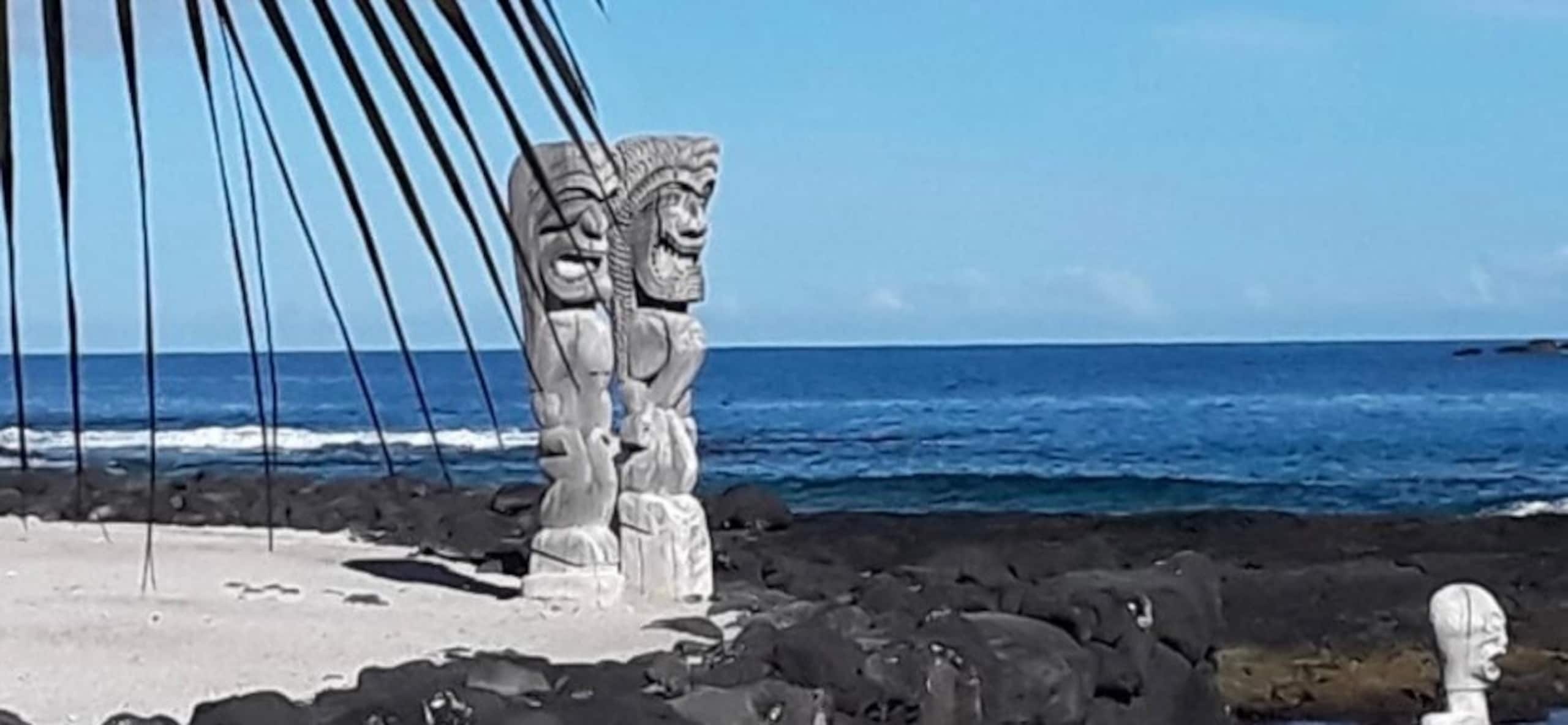 Condo in Kailua-Kona · ★4.99 · 2 bedrooms · 4 beds · 2 private baths - Image 53