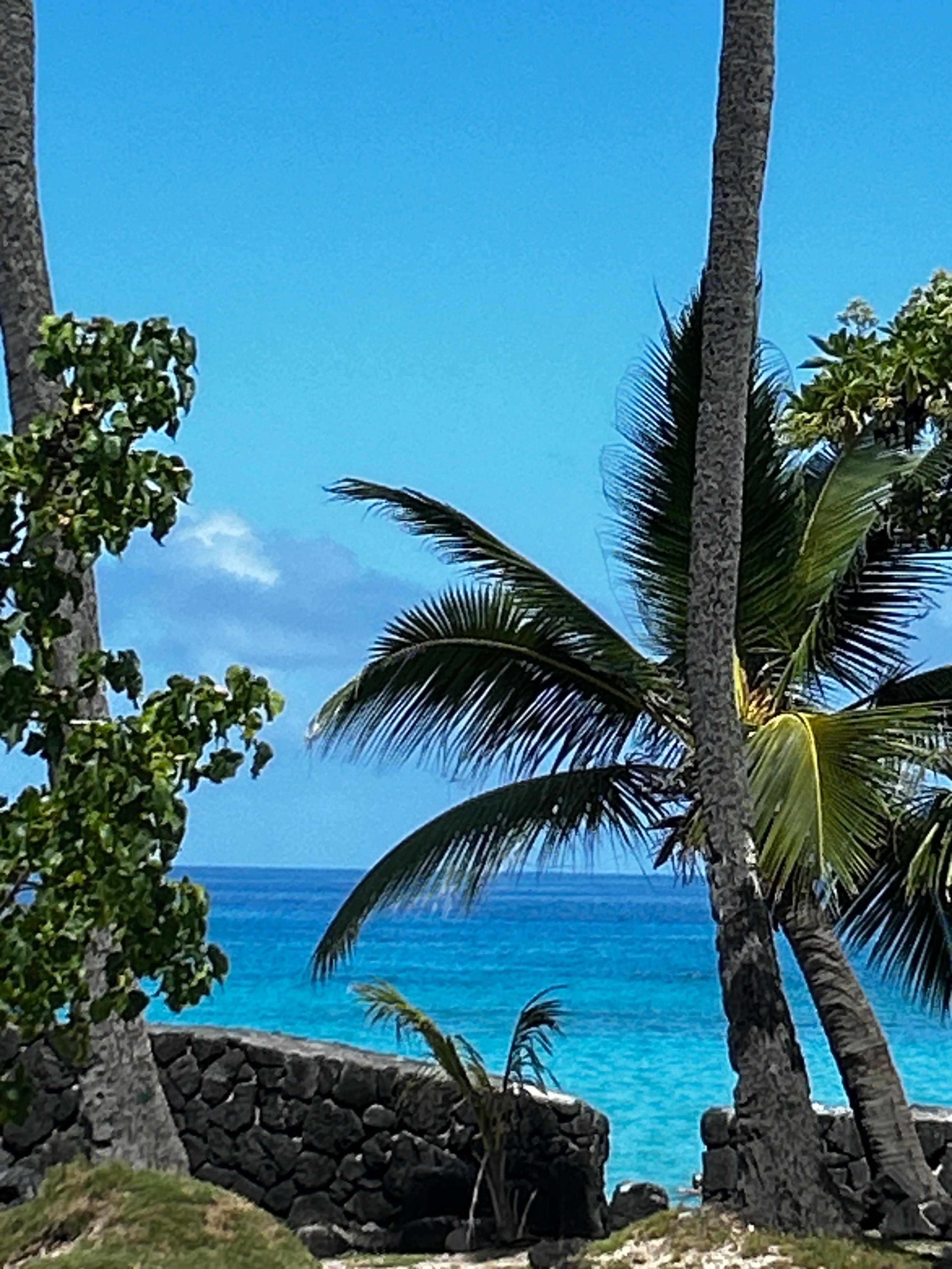 Condo in Kailua-Kona · ★4.99 · 2 bedrooms · 4 beds · 2 private baths - Image 47