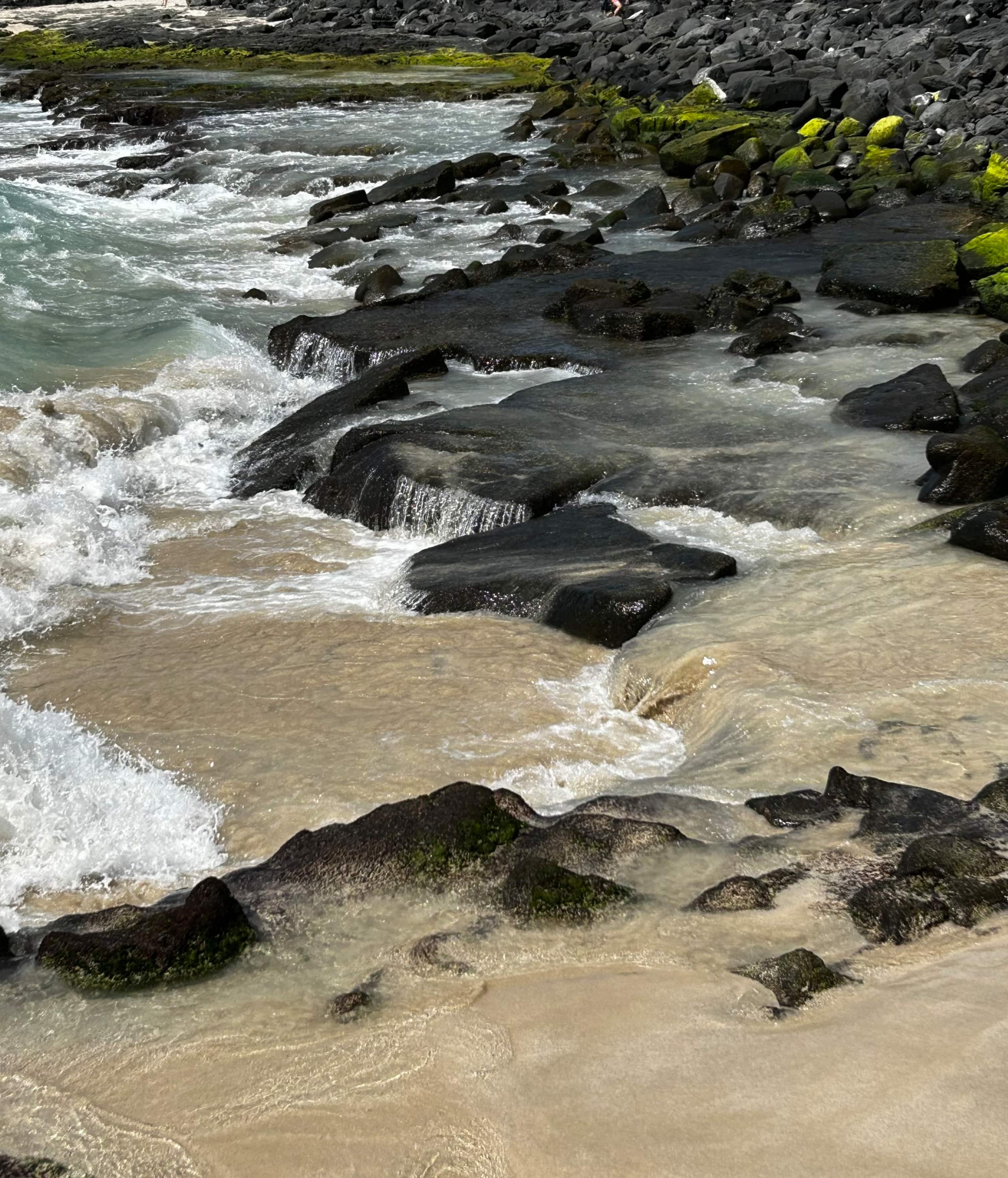 Condo in Kailua-Kona · ★4.99 · 2 bedrooms · 4 beds · 2 private baths - Image 32