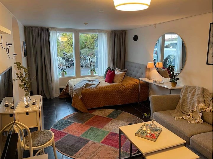 Large studio room with double bed 140 cm, sofa bed 140 cm, folding dining table for up to 6 people. 55-inch smart TV. 

Room-darkening shades. 