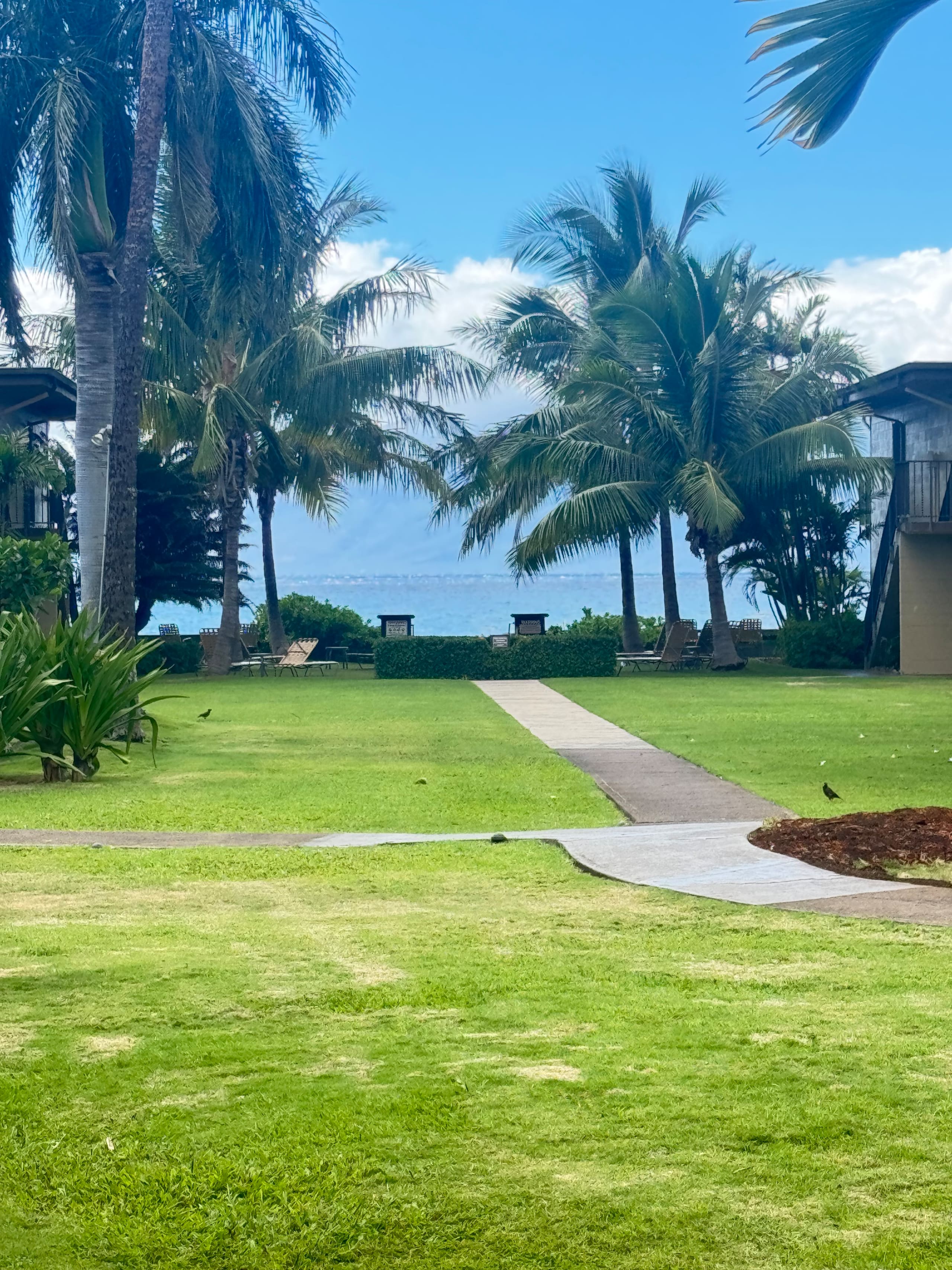 Condo in Lahaina · ★4.67 · 1 bedroom · 2 beds · 1 bath - Image 37