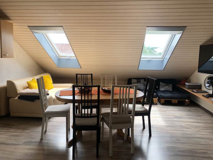 Mussmann Probieren - Schaffhausen