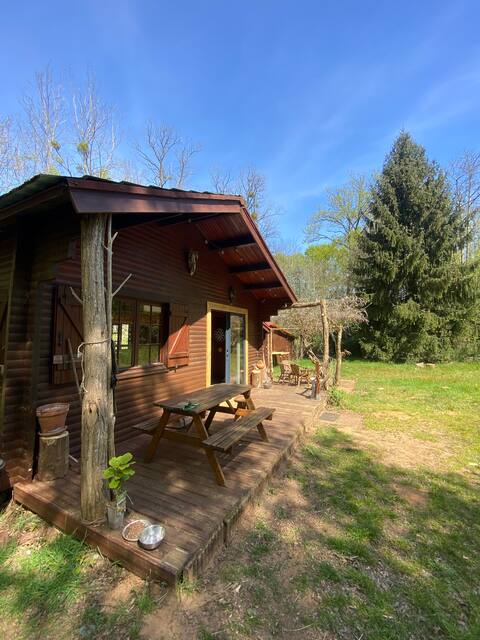 The Bear's Cabin