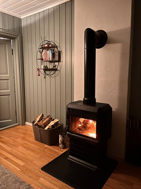 Popular Airbnb listing: Cozy, small house in the heart of Telemark in Kviteseid