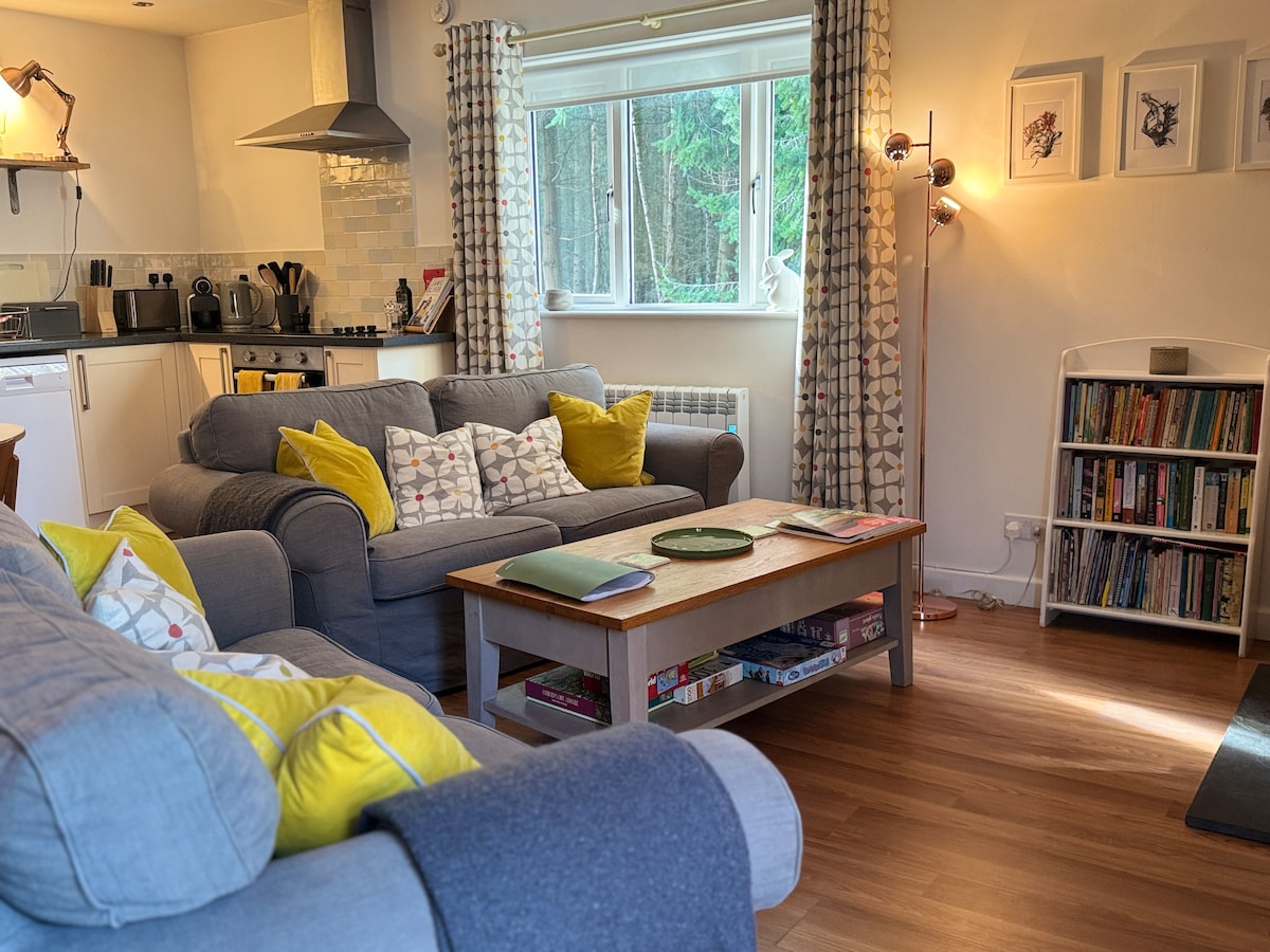 An open plan living area features two comfortable sofas with decorative throw pillows. A wooden coffee table sits in the center, and light streams in through a large window dressed with patterned curtains, illuminating a cozy corner filled with bookshelves.