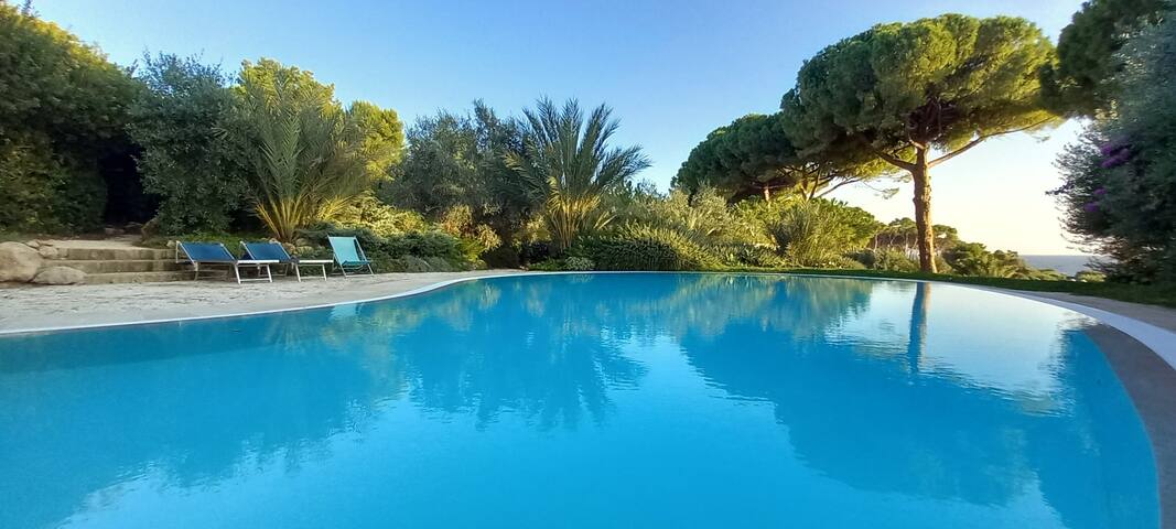 Villa Miramar R&Y gallery image 2