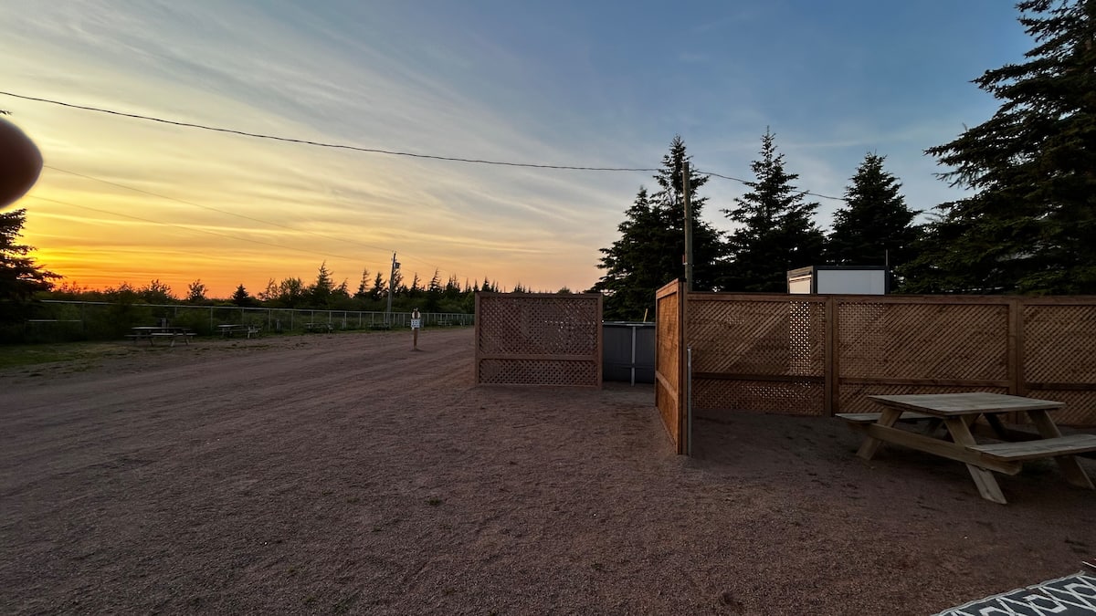 Evening light over the private site