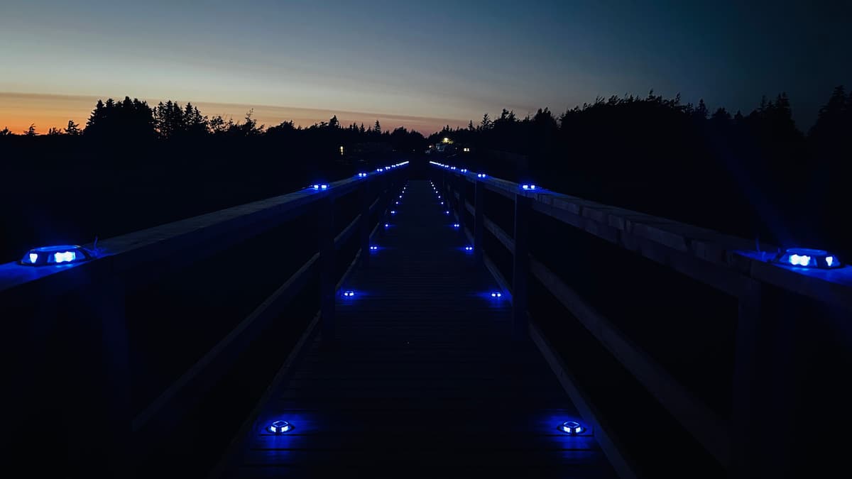 Boardwalk lit with blue lights after dark