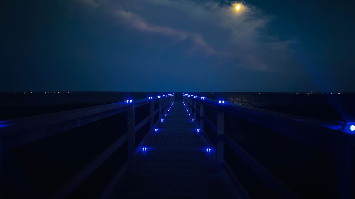 Evening walk along the illuminated boardwalk