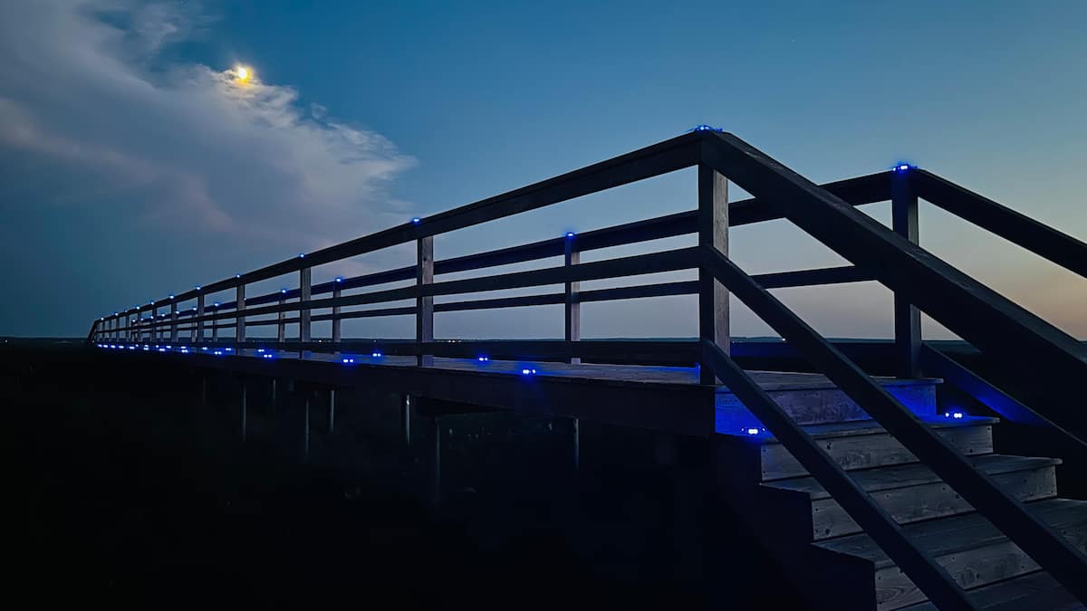 Moonlight over the boardwalk