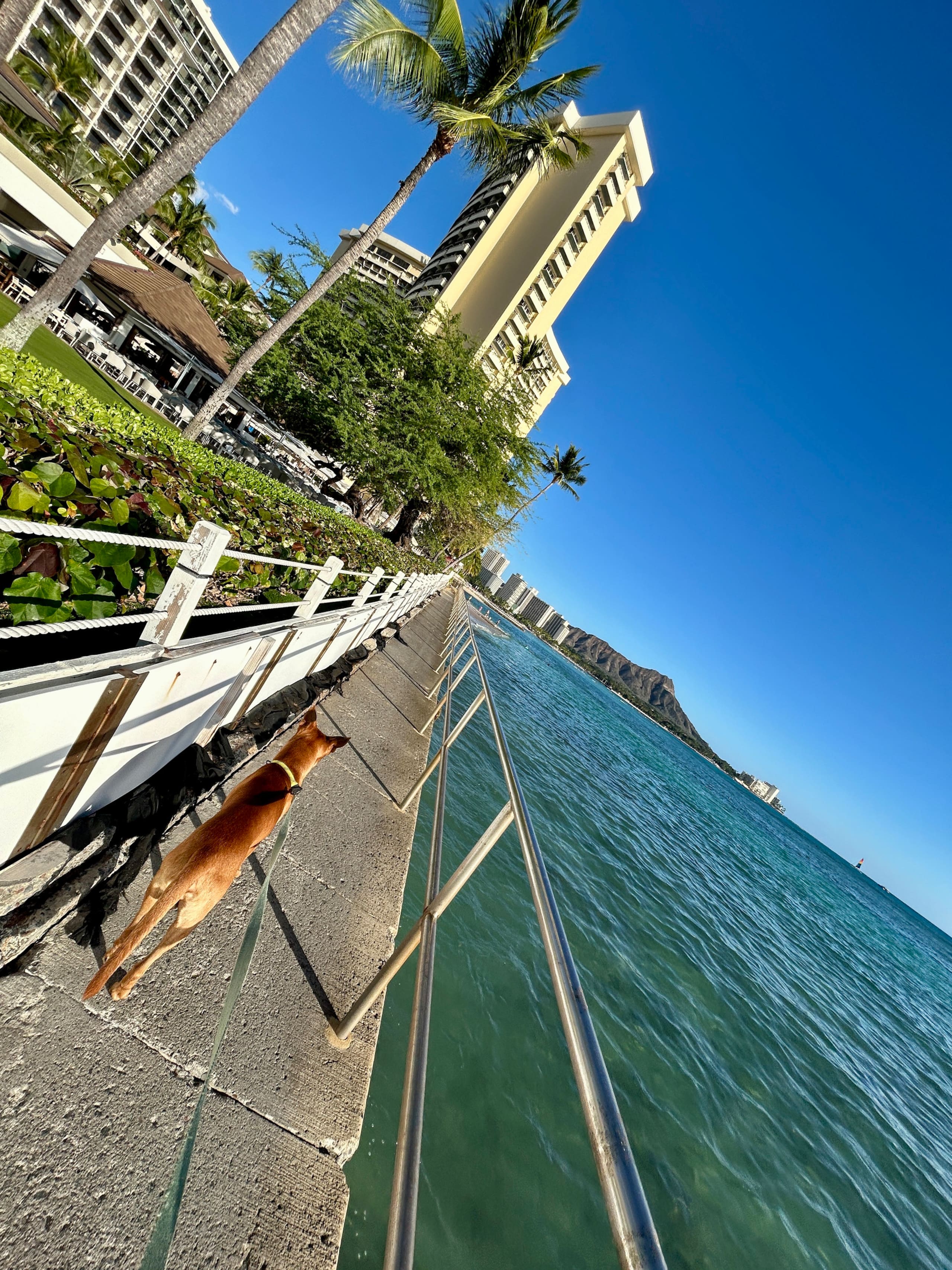 Condo in Honolulu · ★4.81 · 1 bedroom · 1 bed · 1 private bath - Image 30