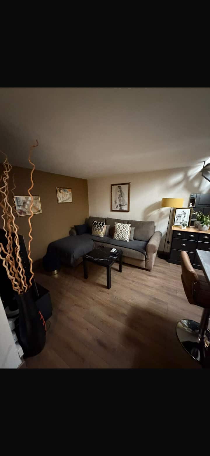 Menton Superbe Appartement Centre  Ville - Menton