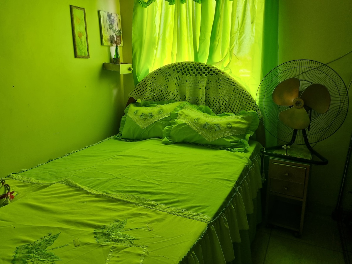 A sleeping area features green walls and coordinating bedding, creating a harmonious environment. A fan stands beside a small bedside table, contributing to the room's functionality. Natural light filters through the green curtains, providing a vibrant atmosphere.