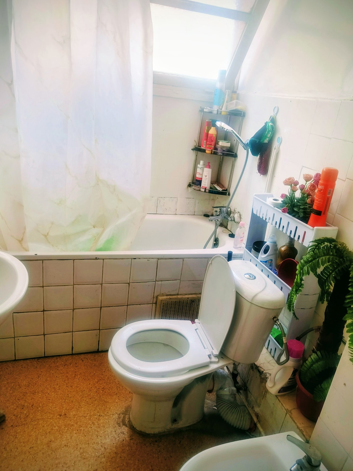 Loft in Casablanca  425  1 bedroom  1 bed  1 shared bath - image 4