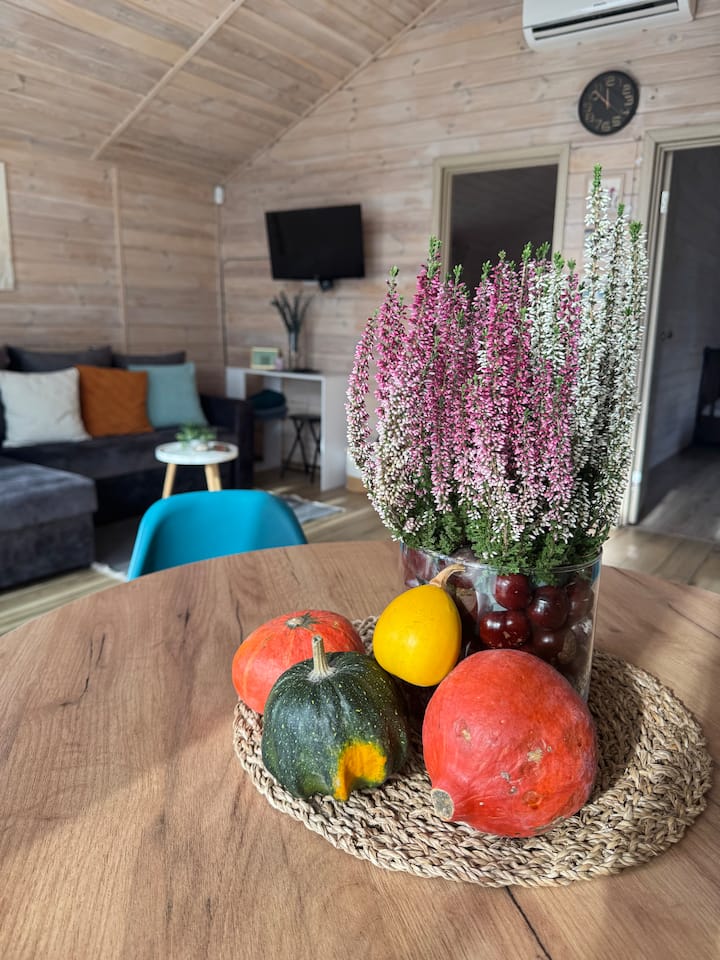 Picha ya Nyumba ya kulala wageni yenye starehe karibu na ziwa 1