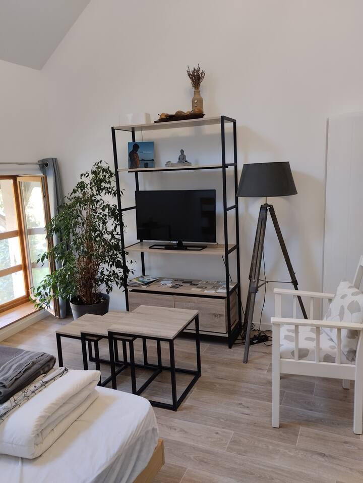 Studio Le P'tit Bugiste - Belley