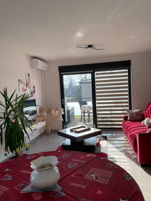Top performing Airbnb: Colmar, F2 parking gratuit. Clim. Wifi. classé*** in Colmar