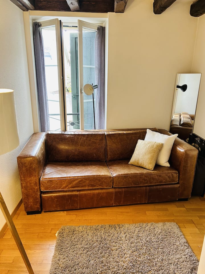 Comfortable Stay In Picturesque Pregny-chambesy - Geneva