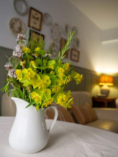 Propiedad de Airbnb exitosa: Beautiful apartment, with garage in the center. en Zaragoza