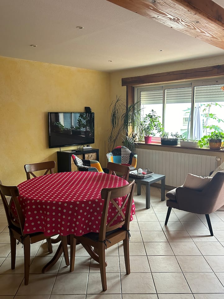 Petite Maison De Ville St Girons - Saint-Girons