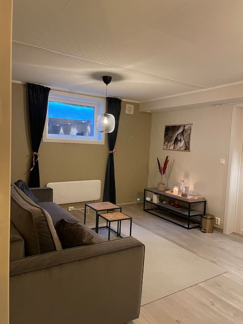 Cozy basement room with private bathroom.