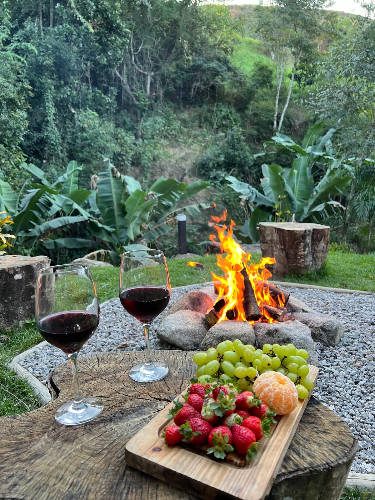 A cozy outdoor setting features a firepit surrounded by stone, with vibrant flames flickering. A wooden board displays an assortment of fresh fruits, including strawberries, grapes, and an orange. Two glasses of red wine sit nearby on a round wooden table, complemented by lush green foliage in the background.