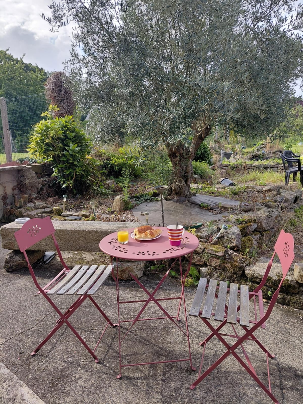 A small outdoor dining area is featured, with a round metal table and two folding chairs. A plate with a pastry and two drinks sits atop the table. Behind the setting, an olive tree and a stone garden element are visible, enhancing the natural surroundings.