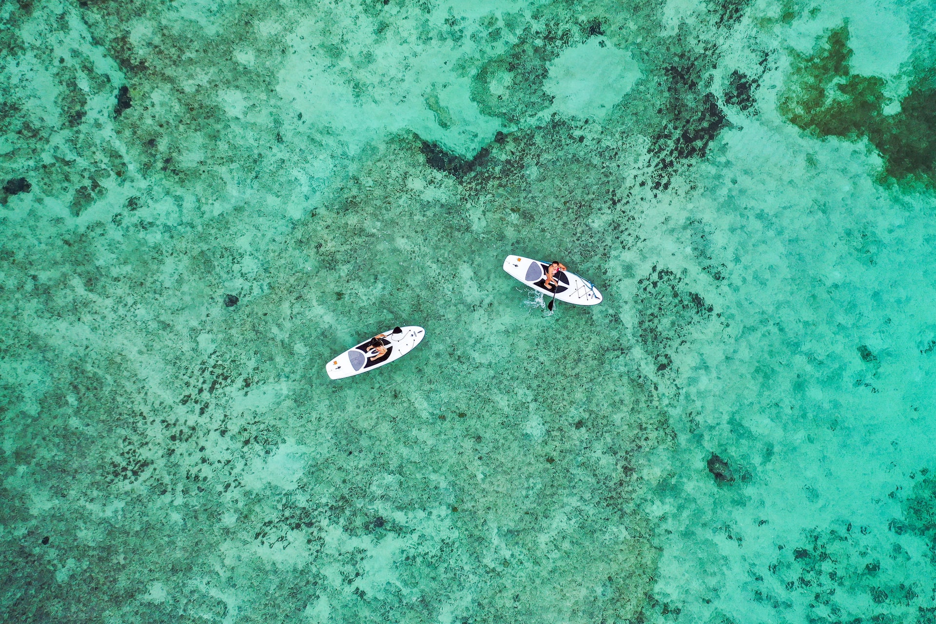 Oceanfront Suite + Kayaks and Great Snorkeling — foto 5