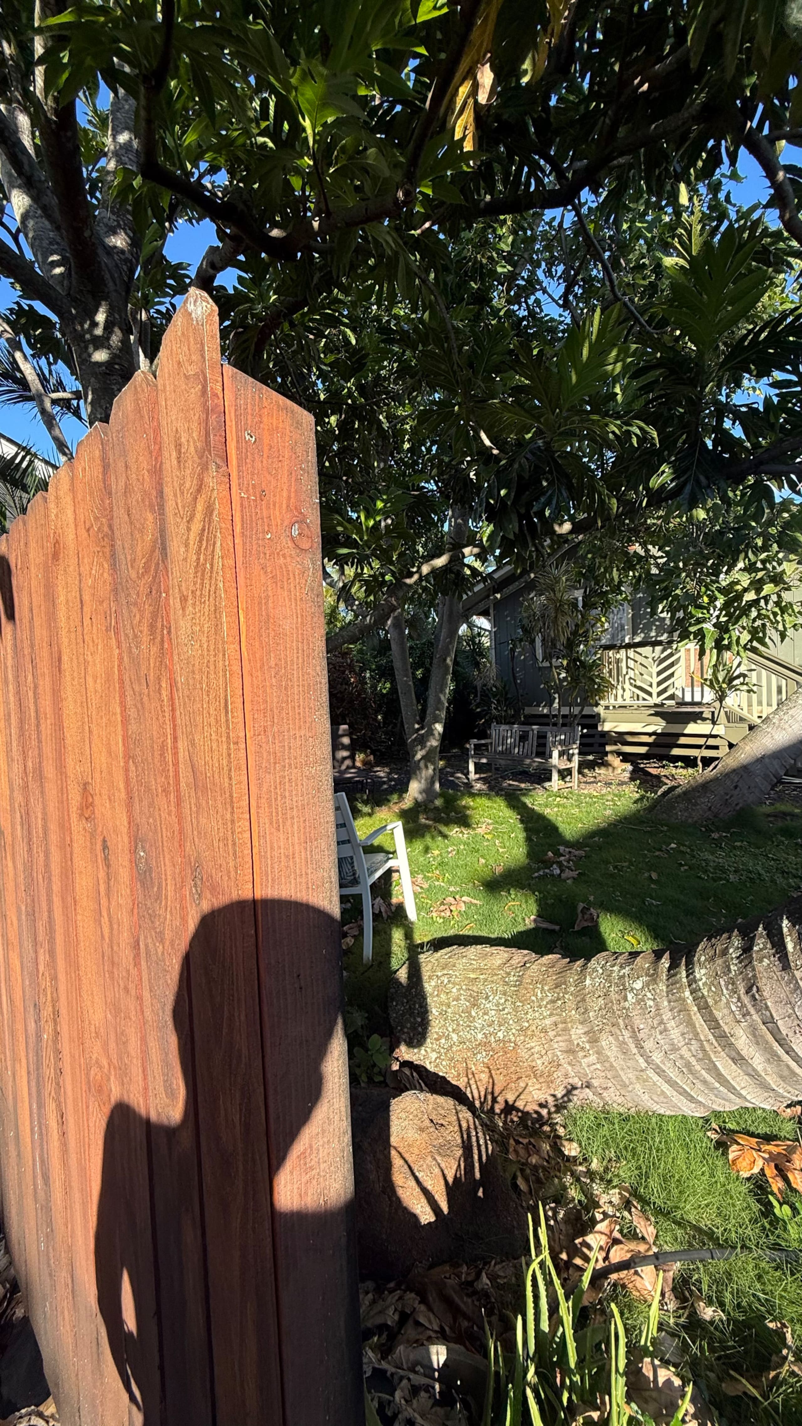 Home in Paia · ★4.68 · 2 bedrooms · 2 beds · 1 bath - Image 8