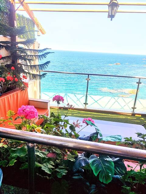 Wild paradise between mountain and sea.