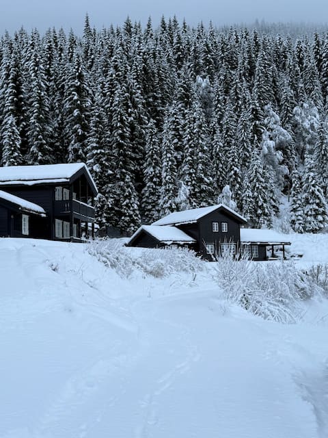 Large family cottage in beautiful surroundings