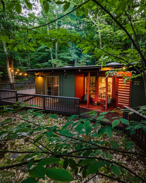 Cozy forest luxury cabin