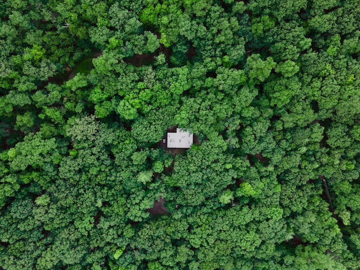Mcm Oasis | Ev | Hot Tub - Woodstock, NY