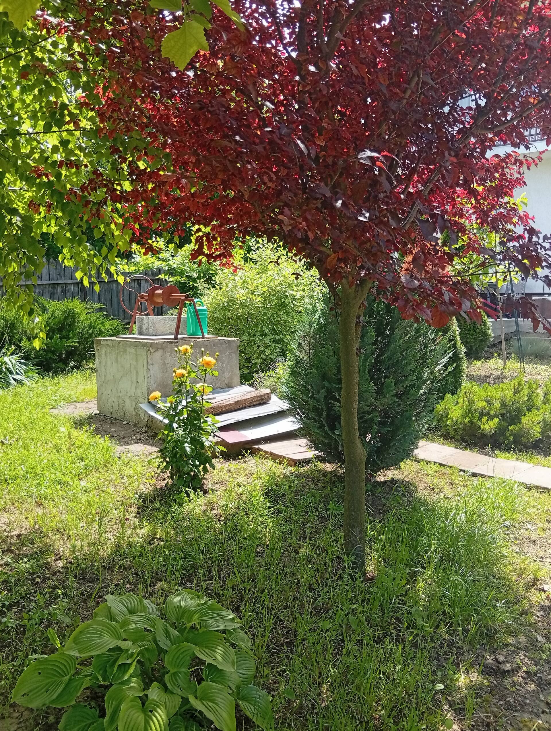 Casa Rediu Iasi — photo 3