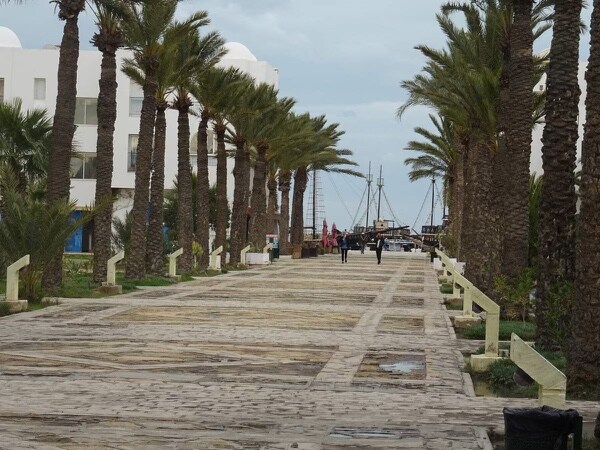 A tree-lined pathway is bordered by tall palm trees, leading towards a marina with sailboats in the distance. The cobblestone walkway is lined with planters, and typical coastal architecture is visible on the left side.
