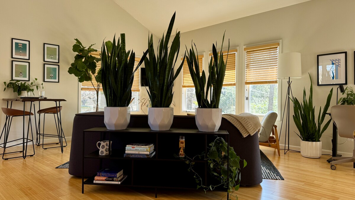 Sunny Second Floor Carriage House Apt in Hyde Park