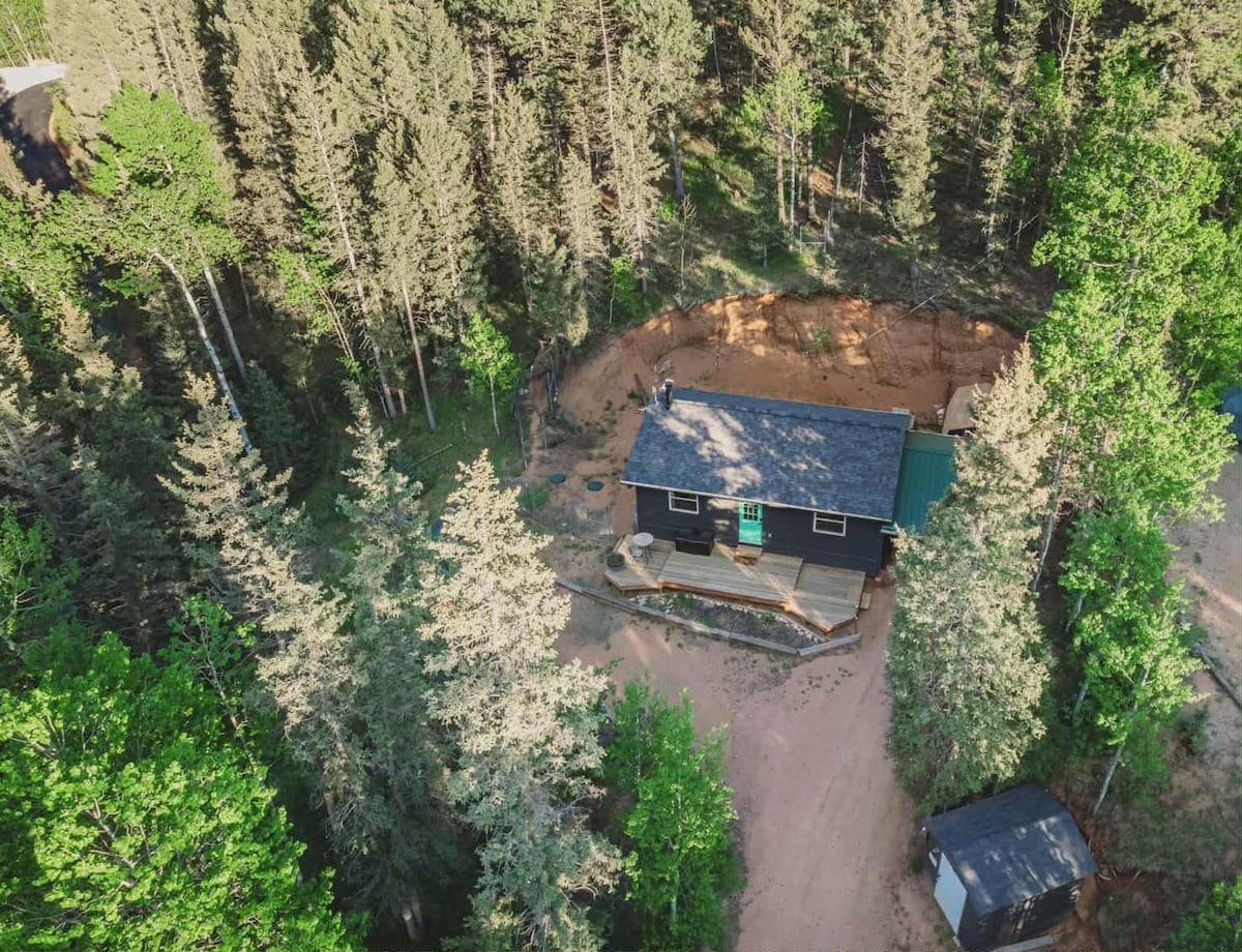 The cabin is nestled among tall, green trees, surrounded by a natural landscape. A spacious deck extends from the front of the cabin, providing an outdoor area. The dirt road leading to the cabin is visible, indicating a secluded mountain retreat.