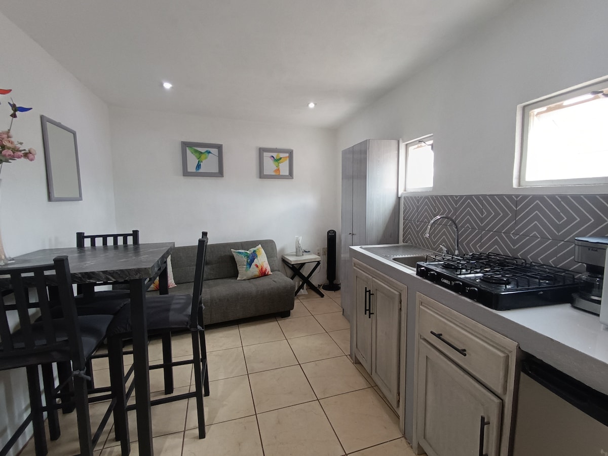 A compact loft-style kitchen and living area features a grey sofa, a dining set with tall black chairs, and a modern kitchen countertop. Light enters through windows, illuminating the space. Wall art with colorful bird illustrations adds a decorative touch.