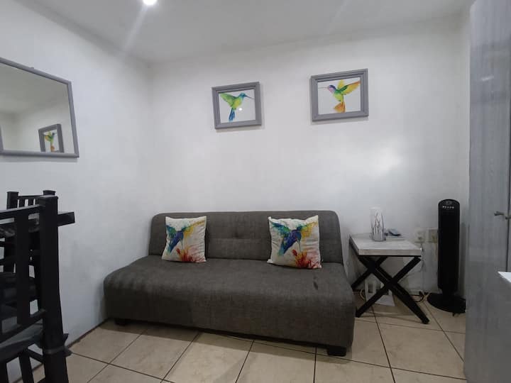 Departamento Colibrí - Guanajuato