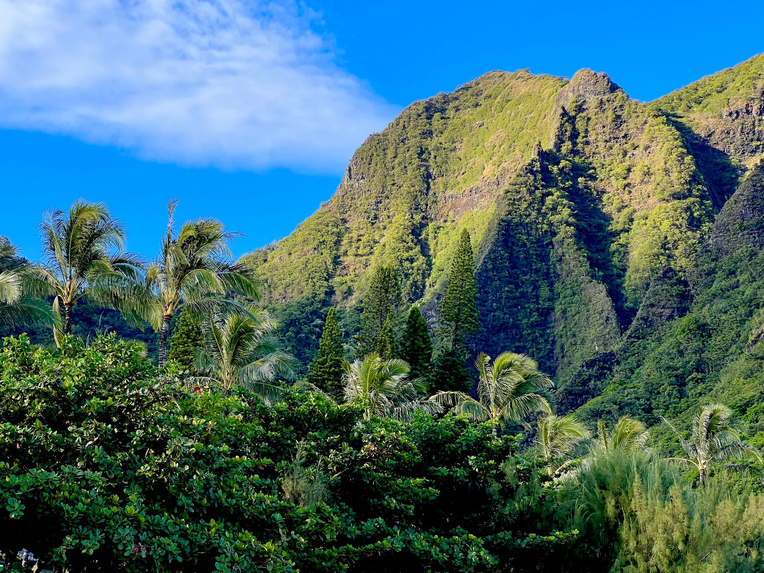 Condo in Princeville · ★5.0 · 1 bedroom · 1 bed · 1.5 baths - Image 31