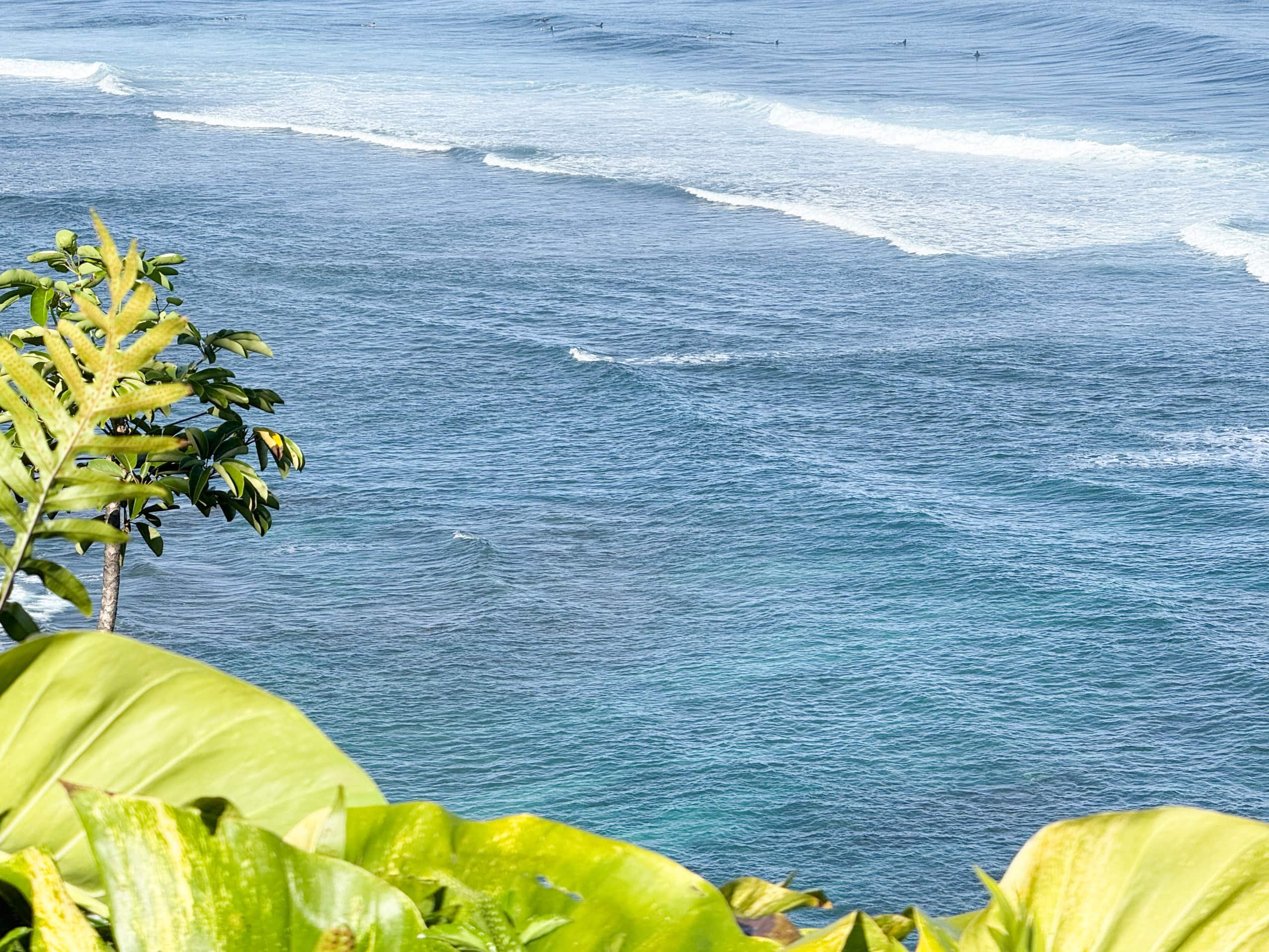 Condo in Princeville · ★5.0 · 1 bedroom · 1 bed · 1.5 baths - Image 35