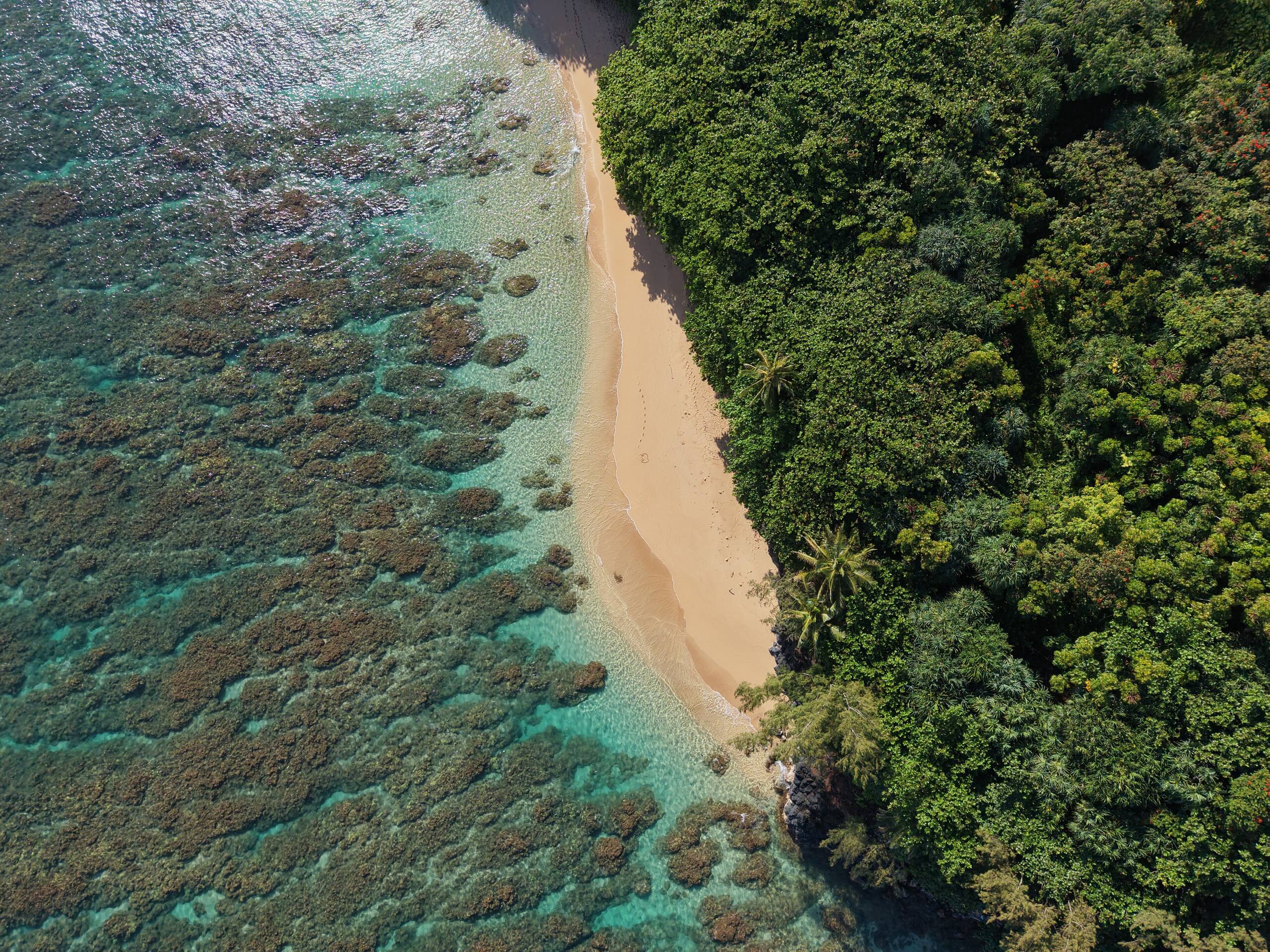 Condo in Princeville · ★5.0 · 1 bedroom · 1 bed · 1.5 baths - Image 37