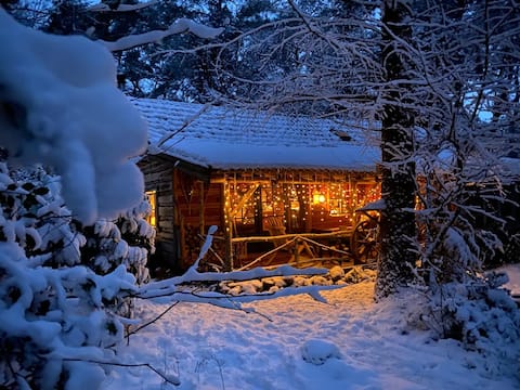 Unique holiday cabin in the woods of Norg