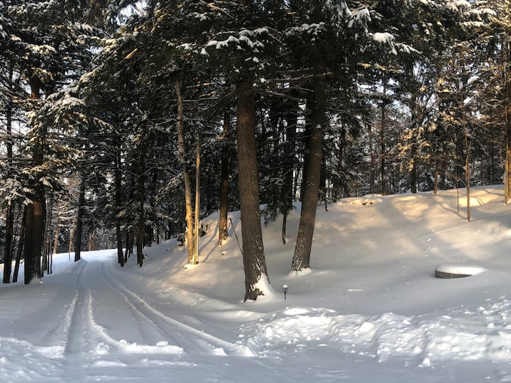 Pine Cliff Lodge - Tons Of Privacy And Good Times! - Kawartha Lakes
