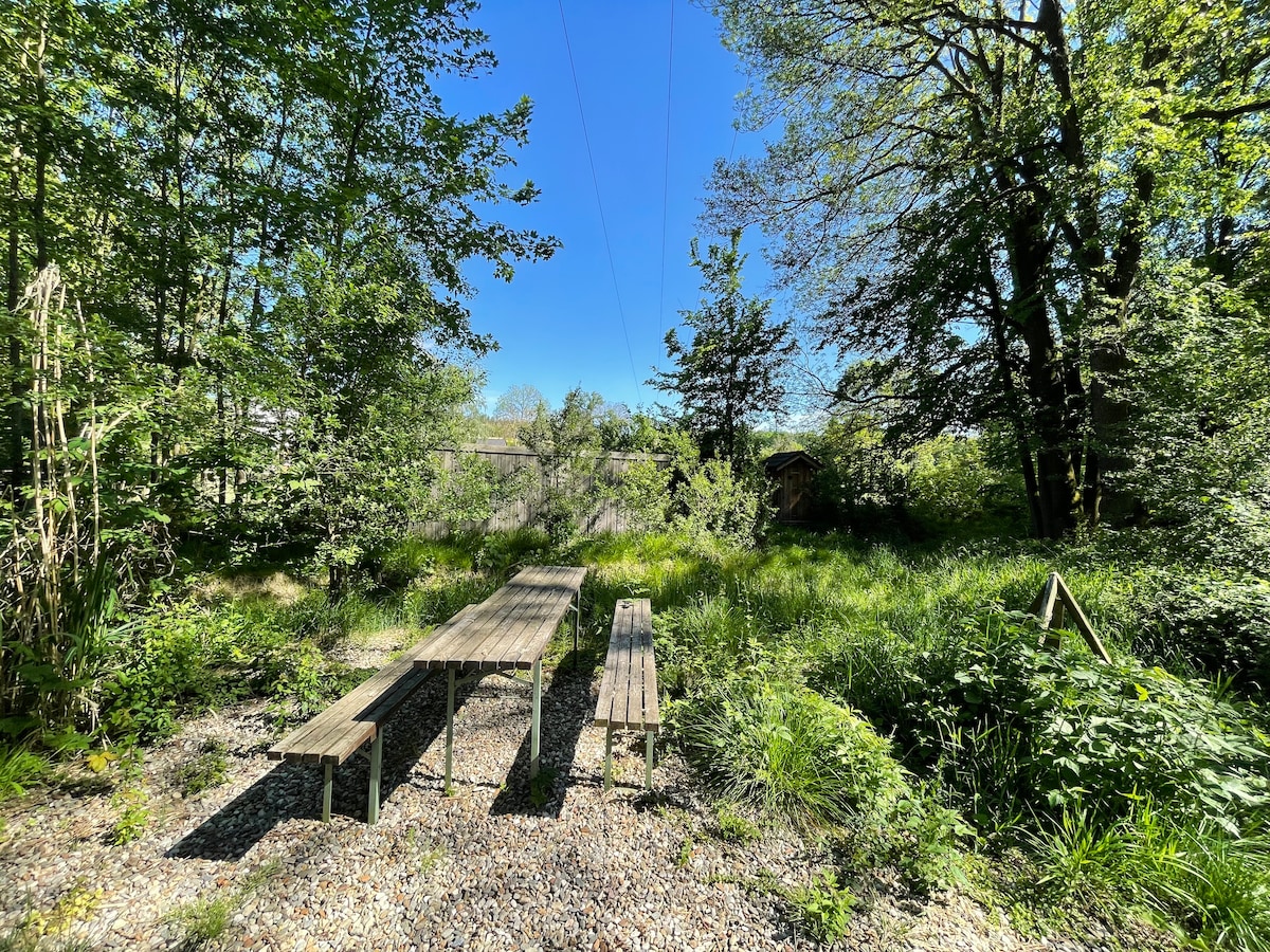 An outdoor seating area features a long wooden table accompanied by benches, set against a backdrop of lush greenery and trees. The bright blue sky adds a serene atmosphere to the natural setting, with dappled sunlight filtering through the leaves.
