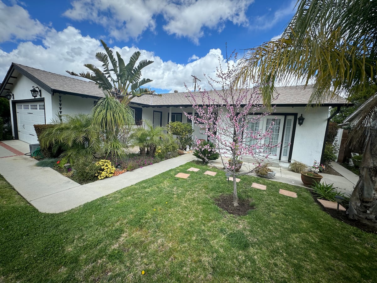 Modern Haven photo 35