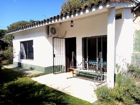 House in Araminda with a pool