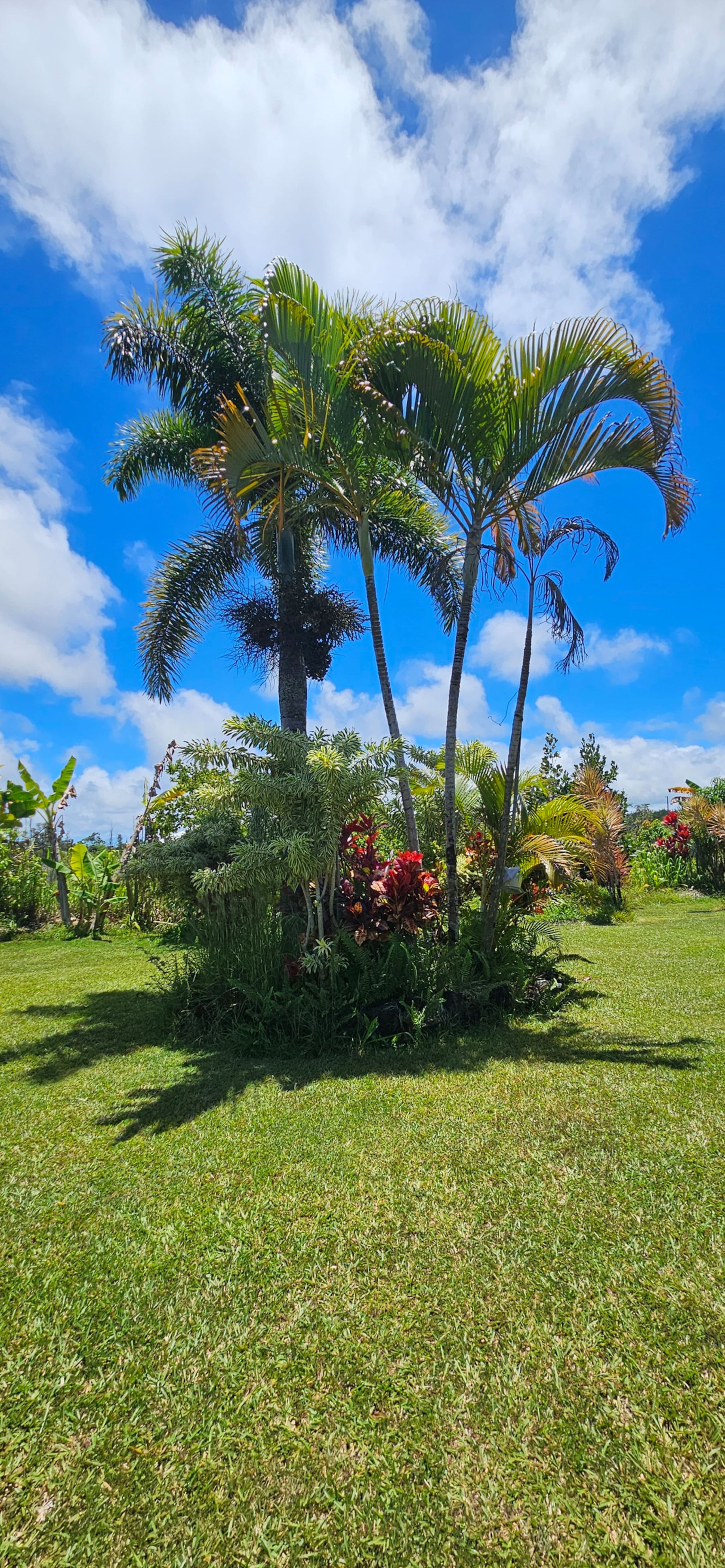 Paradise Private Suite - Photo 19